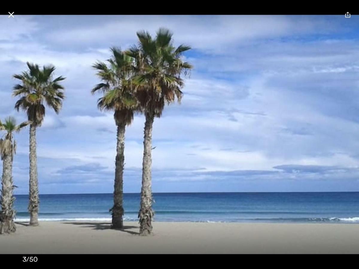 Sol Y Playa En San Juan Alicante Exteriér fotografie