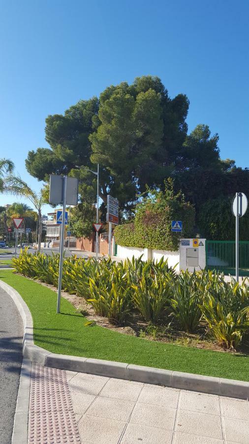 Sol Y Playa En San Juan Alicante Exteriér fotografie